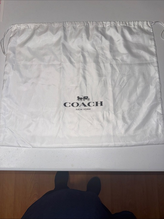 Coach Other - Coach White Satin Drawstring Logo Dust Bag
19 in length and 24 inches wide